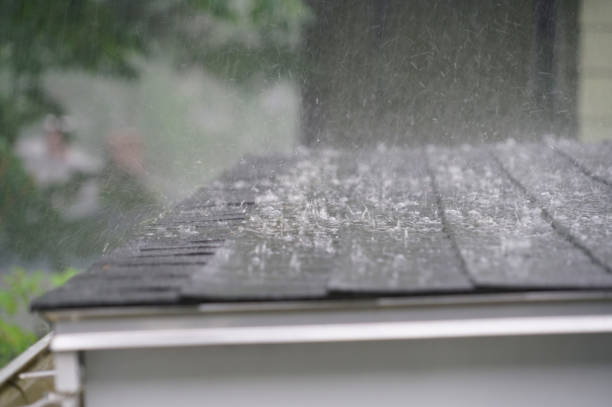Best Green or Eco-Friendly Roofing Solutions  in Westwood, MI